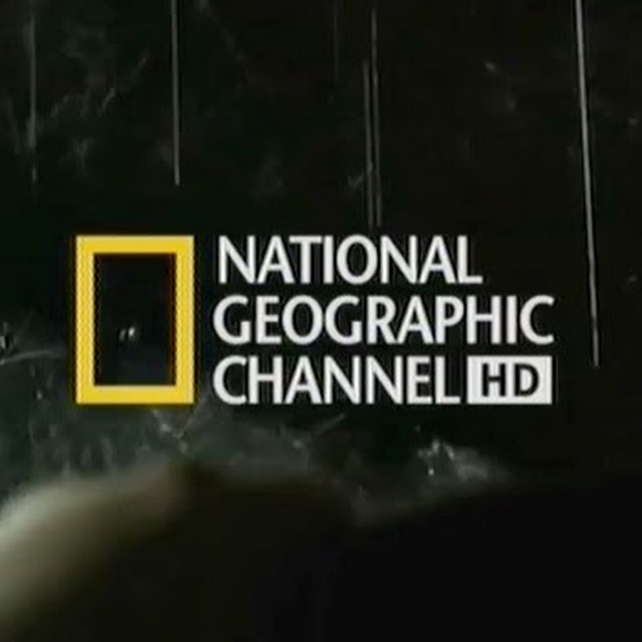 “ثبت الآن” تردد قناة ناشيونال جيوغرافيك الجديد لمشاهدة جميع الأفلام الوثائقية عن الطبيعة