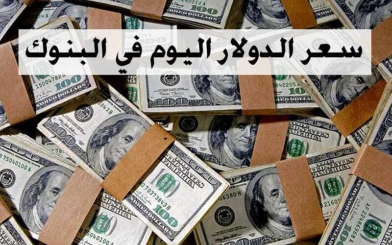 كم صرف الف دولار بالجنيه المصري اليوم الثلاثاء 26-12-2023 في مصر السوق السوداء والبنوك