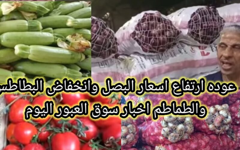 “شُعبة الخضروات” اسعار البصل اليوم الخميس 28/ 12/ 2023 في سوق العبور