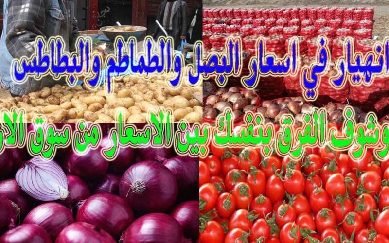 ننشُر اسعار البصل والطماطم اليوم الاثنين 25 ديسمبر 2023 وجدول أسعار الخضار في الاسواق