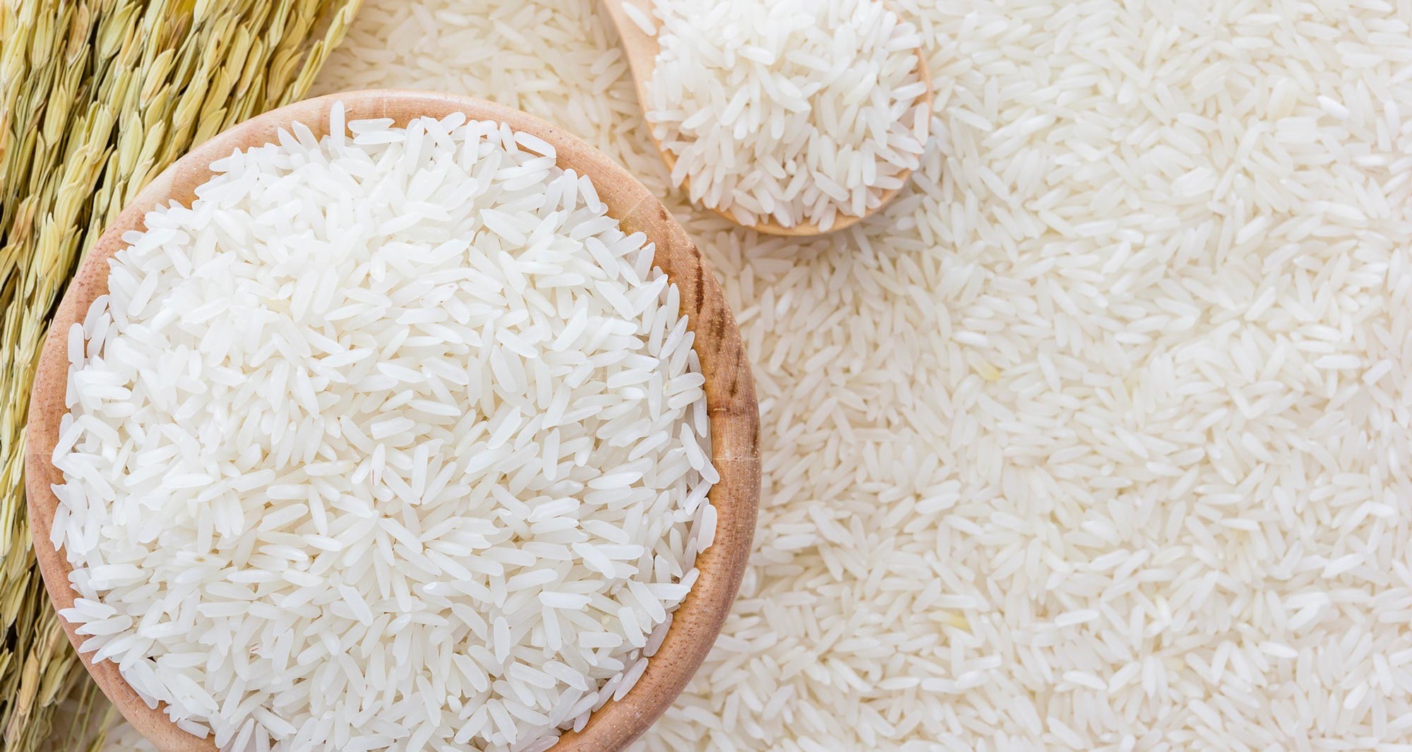 “الارز بقا بكام؟” سعر طن الأرز الشعير اليوم  الاثنين 11 ديسمبر 2023 في مصر للمستهلك