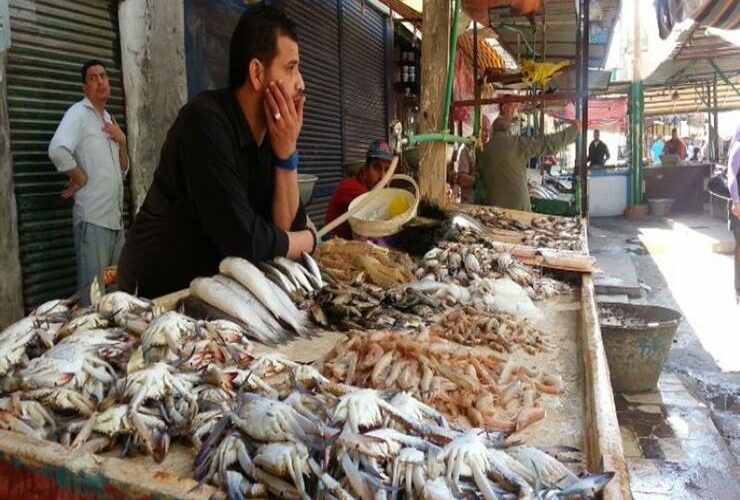 “الجمبري بكام” اسعار السمك اليوم الاربعاء 2024/1/10 للمستهلك في سوق العبور