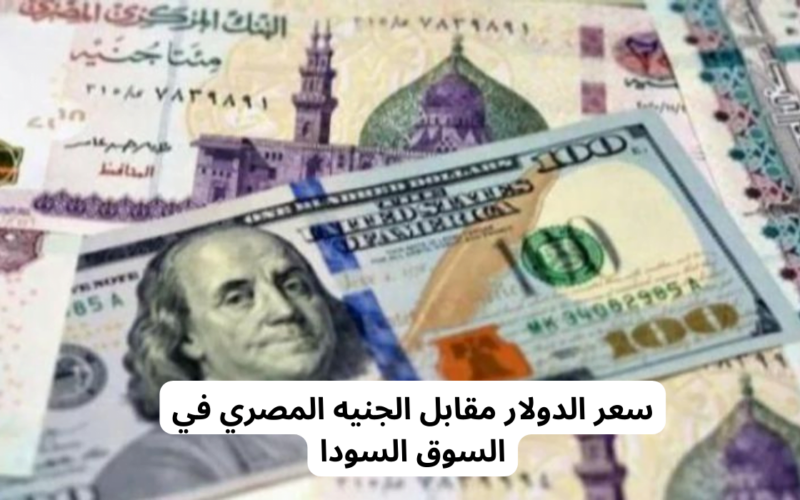 “لحظة بلحظة” سعر الدولار اليوم في السوق السوداء اليوم الثلاثاء 2 يناير 2024 مقابل الجنيه المصري