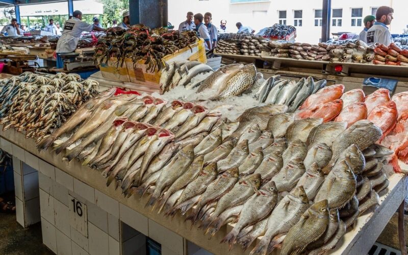 “البلطي والبوري” اسعار السمك اليوم الاربعاء 3 يناير 2024 بسوق العبور للمستهلك