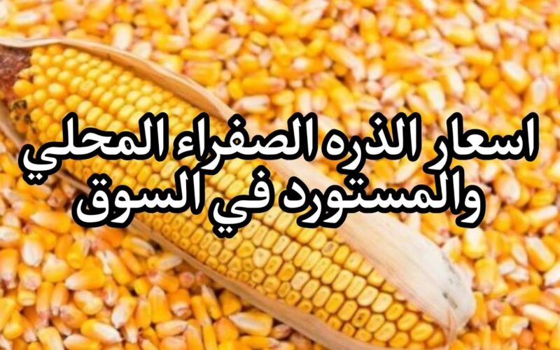 “الاردب بكام؟” سعر طن الذرة الصفراء اليوم الثلاثاء 2 يناير 2024 البرازيلي والاوكراني في مصر
