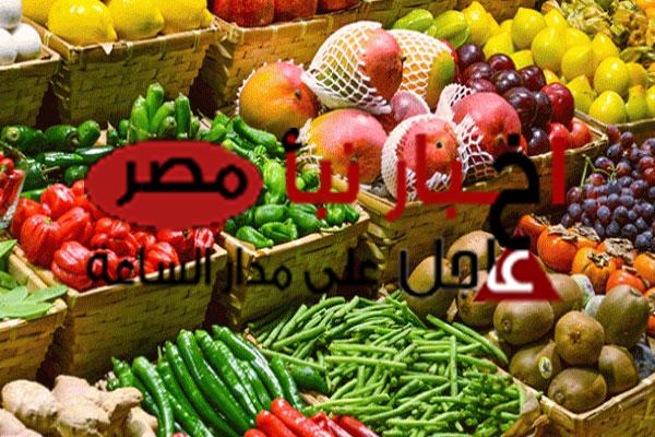 أسعار الخضروات اليوم 22 يناير 2024 في سوق العبور