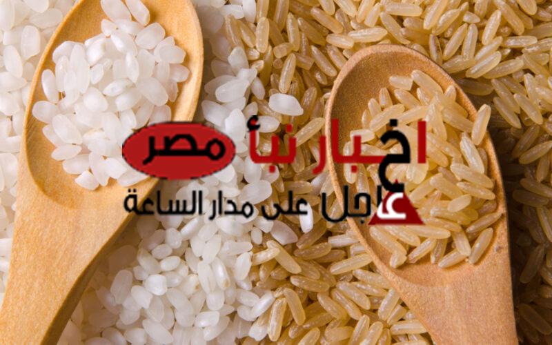 سعر الأرز الشعير اليوم الاربعاء 14 فبراير 2024 للتجار في مصر و اسعار السلع الغذائية للمستهلك