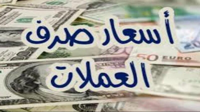 العملات عاملة قلق.. أسعار العملات اليوم في مصر الأربعاء 14 فبراير 2024 في السوق الموازية