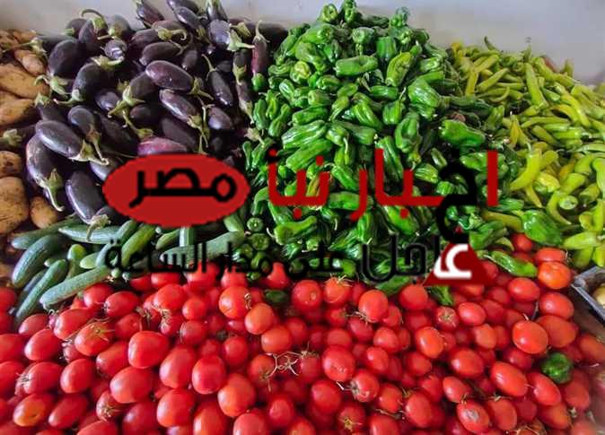اسعار الخضار اليوم  الخميس 14 فبراير و الفاكهة للمستهلك في سوق العبور