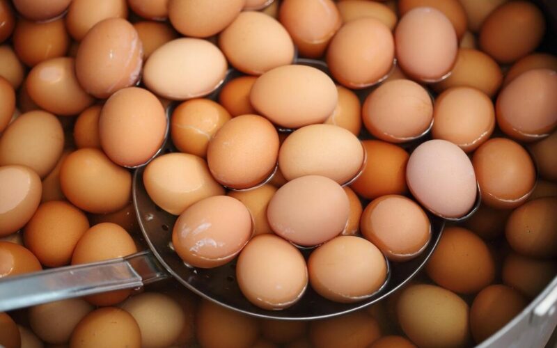 البيضة بكام النهاردة ؟.. سعر البيض اليوم الثلاثاء 13 فبراير 2024 في جميع الأسواق التجارية