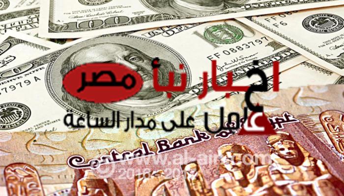 “الحقونا عدي الـ 60” سعر الدولار اليوم امام الجنيه المصري الأربعاء 14 فبراير 2024 في السوق السوداء