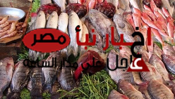 “طازة ومجمد” أسعار السمك اليوم للمستهلك الخميس 15 فبراير 2024 في الاسواق التجارية