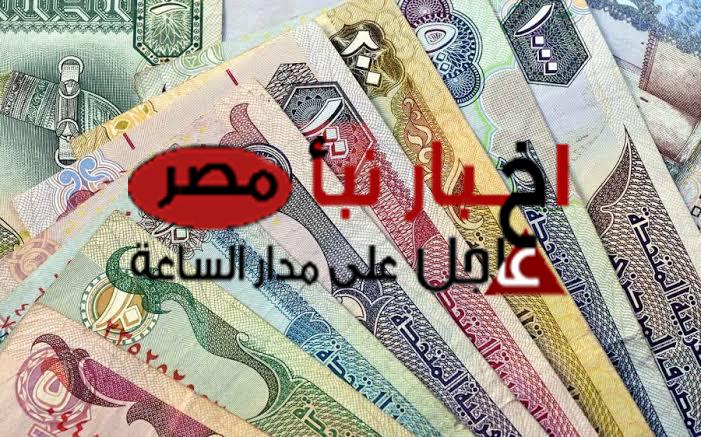 أسعار الدولار والعملات العربية والأجنبية اليوم الثلاثاء 20 فبراير 2024 مقابل الجنية المصري