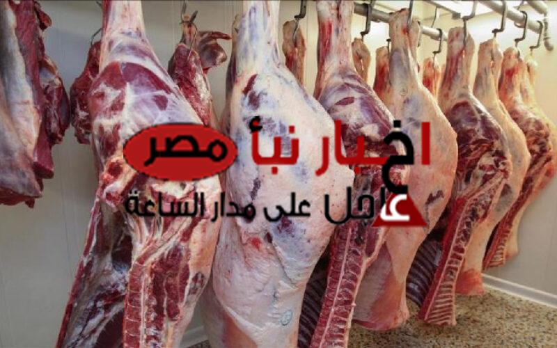 أسعار اللحوم اليوم الخميس 22 فبراير 2024 في مصر