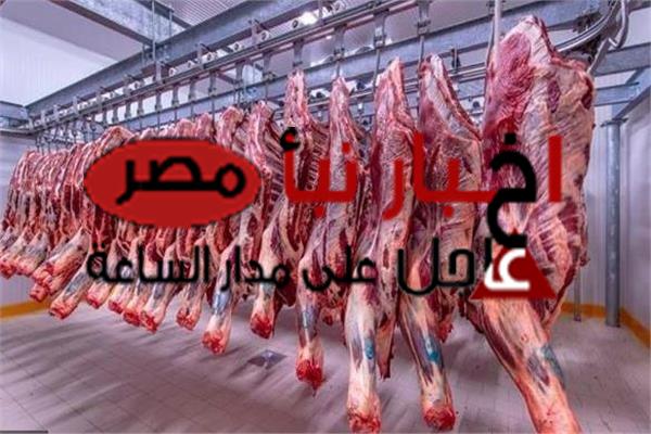أسعار اللحوم اليوم الأربعاء 14 فبراير 2024 في مصر