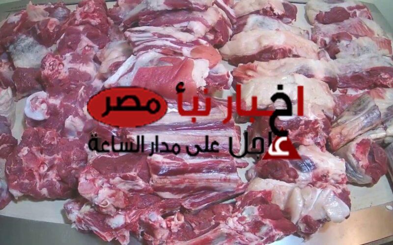 أسعار اللحوم اليوم الأثنين 19 فبراير 2024 في الأسواق المصرية