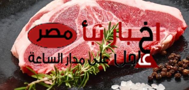 أسعار اللحوم اليوم الثلاثاء 20 فبراير 2024 في مصر