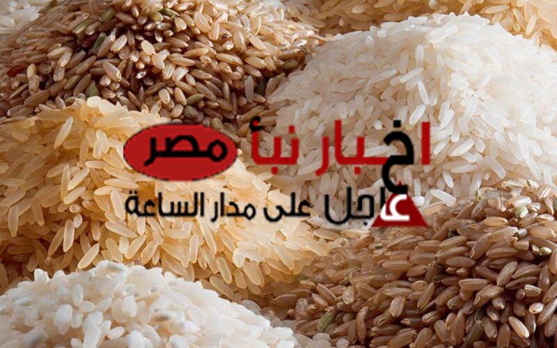 سعر الأرز الشعير اليوم الثلاثاء 27 فبراير 2024 في الأسواق المصرية