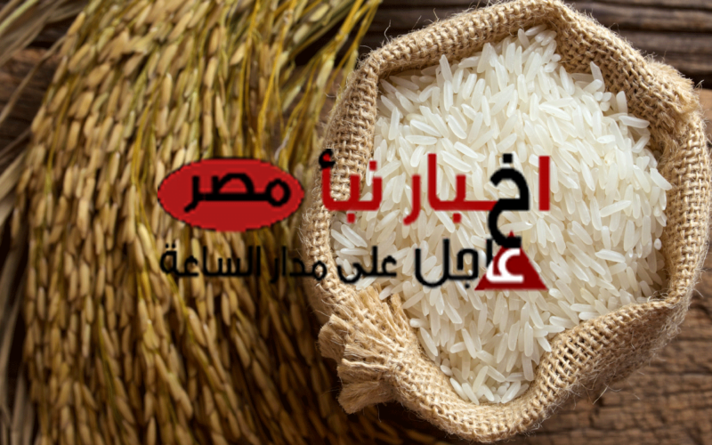 سعر الأرز الشعير اليوم الخميس 29 فبراير 2024 في الاسواق المصرية