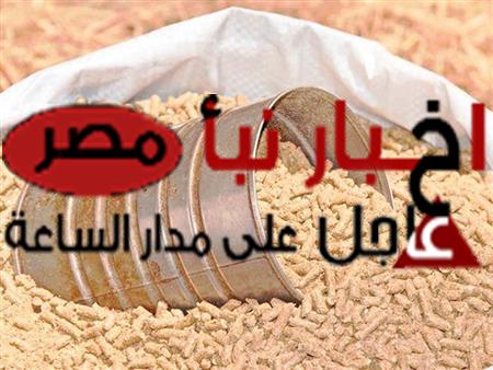 سعر العلف اليوم الثلاثاء 27 فبراير 2024 في الأسواق المصرية