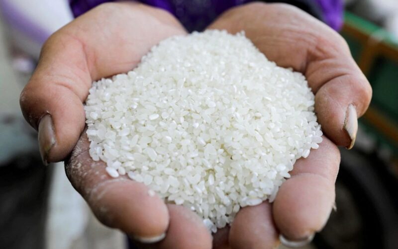 سعر الأرز الشعير اليوم السبت 2 مارس 2024 في الأسواق المصرية