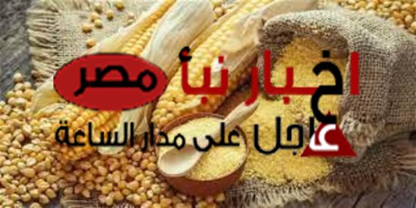 سعر الذرة اليوم الإثنين 4 مارس 2024 في الأسواق المصرية
