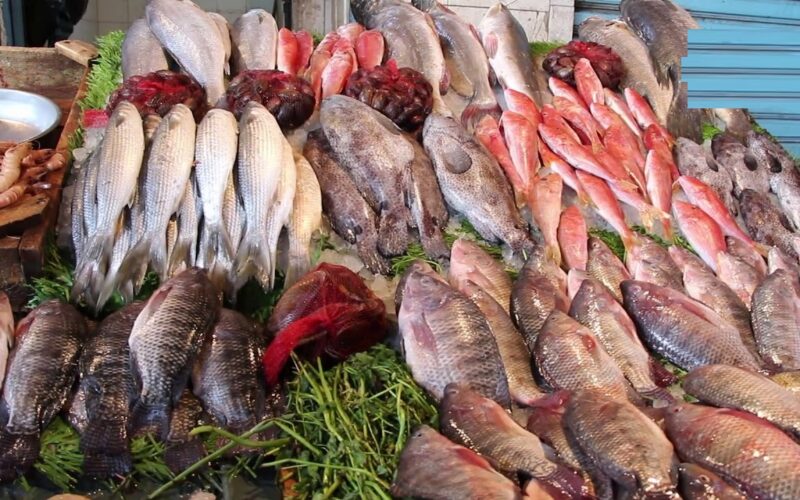 “بلطي ومكرونة” أسعار السمك البلطي اليوم الاحد الموافق 21 ابريل 2024 للمستهلك في سوق العبور