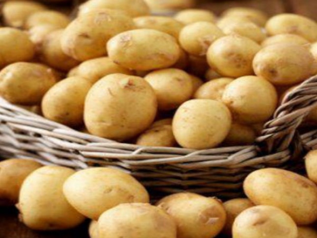 سعر البطاطس اليوم الاثنين 15 ابريل 2024 فى جميع الاسواق المصريه