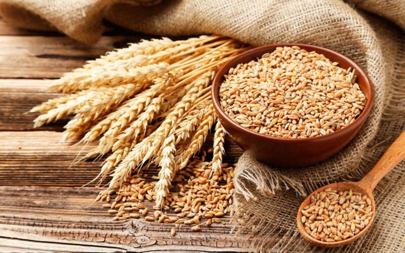 كم سعر أردب القمح في السوق السوداء اليوم الثلاثاء 23 أبريل 2024 وفي الأسواق للمستهلك