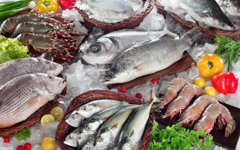 “بوري وبلطي” أسعار السمك البلطي اليوم الجمعة 26 أبريل 2024 في الأسواق المصرية للمستهلك