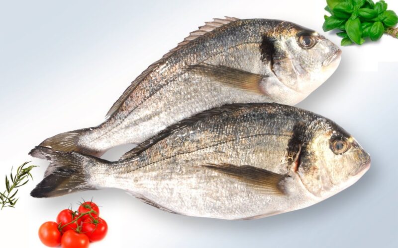 “بوري وبلطي” أسعار السمك اليوم السبت 27 أبريل 2024 في الأسواق المصرية للمستهلك
