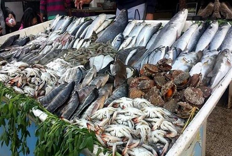 قائمة أسعار السمك اليوم للمستهلك الثلاثاء 16 أبريل 2024 في مصر بسوق العبور لتجارة الجملة