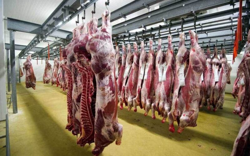 اسعار اللحوم اليوم الاحد 28 ابريل 2024 فى جميع منافذ البيع المصريه