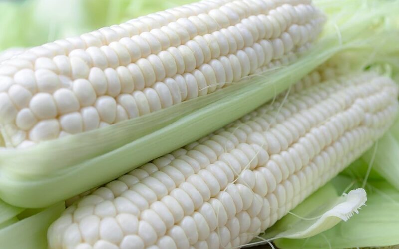 “الابيض بكام” سعر أردب الذرة البيضاء الاحد الموافق 21 ابريل 2024 للمستهلك في المحلات التجارية