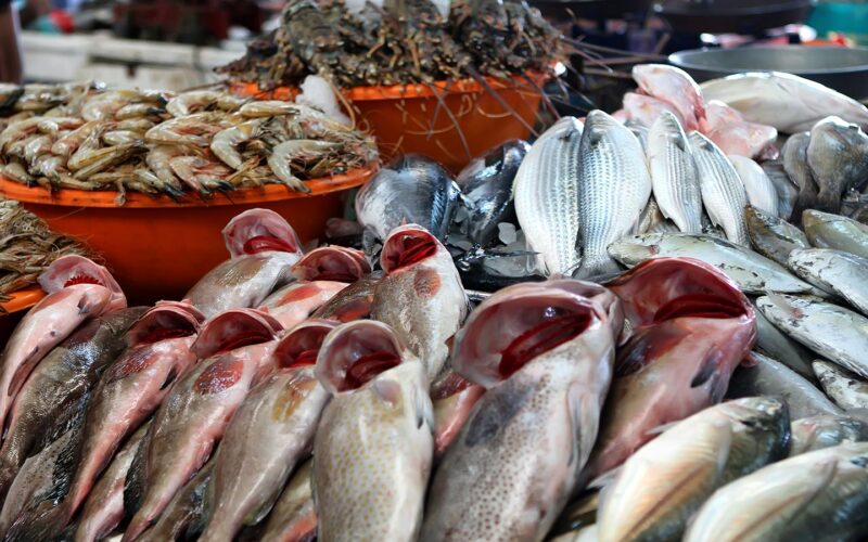 اسعار السمك اليوم الثلاثاء 16 أبريل 2024 و الجمبري في سوق العبور