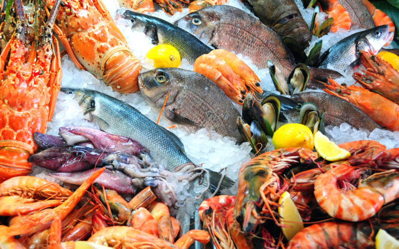 “طازة ومجمد” اسعار السمك البلطي اليوم الأربعاء 24 أبريل 2024 في الأسواق المصرية للمستهلك