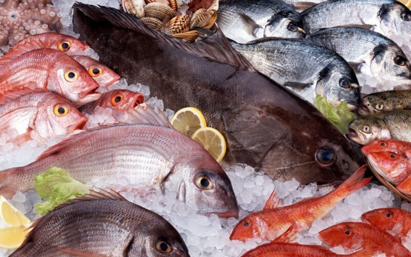 “بوري وبلطي” اسعار السمك اليوم الأحد 21 أبريل 2024 في سوق العبور للمستهلك