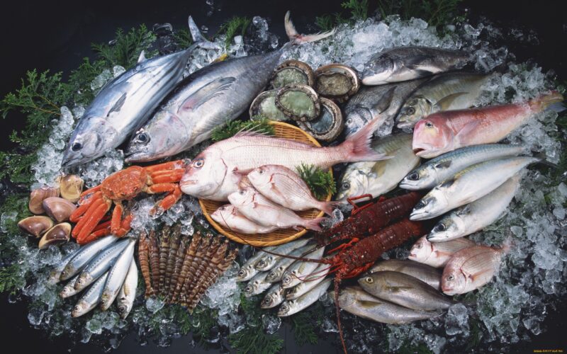أسعار السمك اليوم للمستهلك الأربعاء 17 أبريل 2024 في الأسواق ومنافذ البيع المصرية