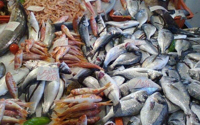 انخفاض اسعار السمك اليوم الاربعاء 24 ابريل 2024 للمستهلك في الاسواق المصرية