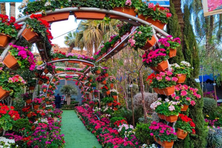 وزارة الزراعه..  معرض الزهور 2024 المكان والمواعيد وكيفية التقديم للإشتراك به