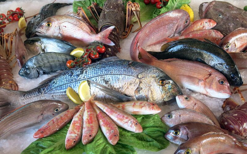 “مشوي ومقلي” اسعار السمك البلطي اليوم الخميس 25 أبريل 2024 في الأسواق للمستهلك