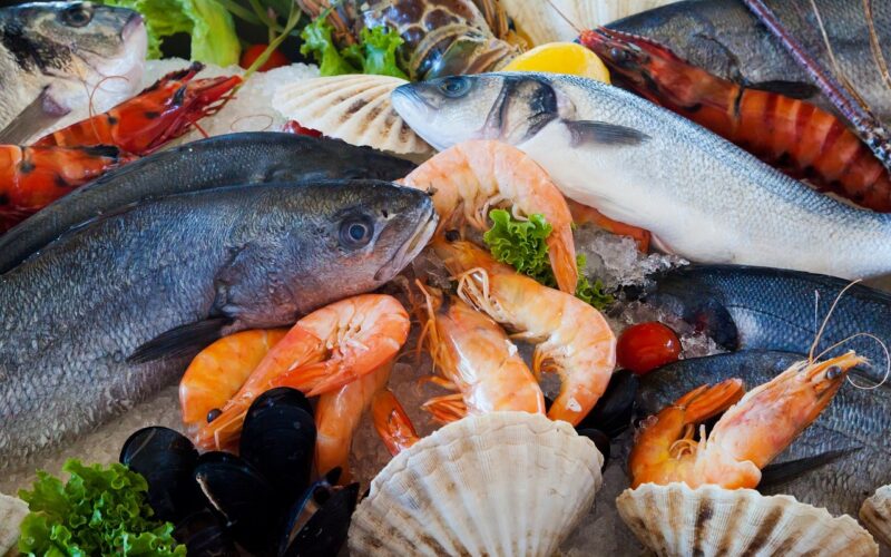 “طازة ومجمد” اسعار السمك اليوم في سوق العبور الإثنين 22 أبريل 2024 للمستهلك