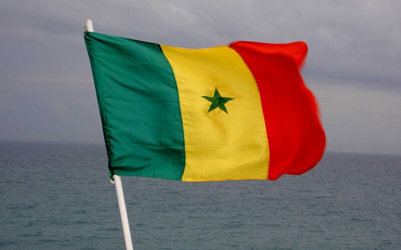حقيقة أم لا.. السنغال تعتمد اللغة العربية لغة رسمية بدلا من الفرنسية