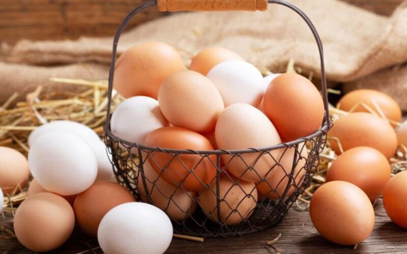 عاجل.. انخفاض أسعار البيض بالأسواق الاحد 28 ابريل 2024 في البورصة والمحلات التجارية
