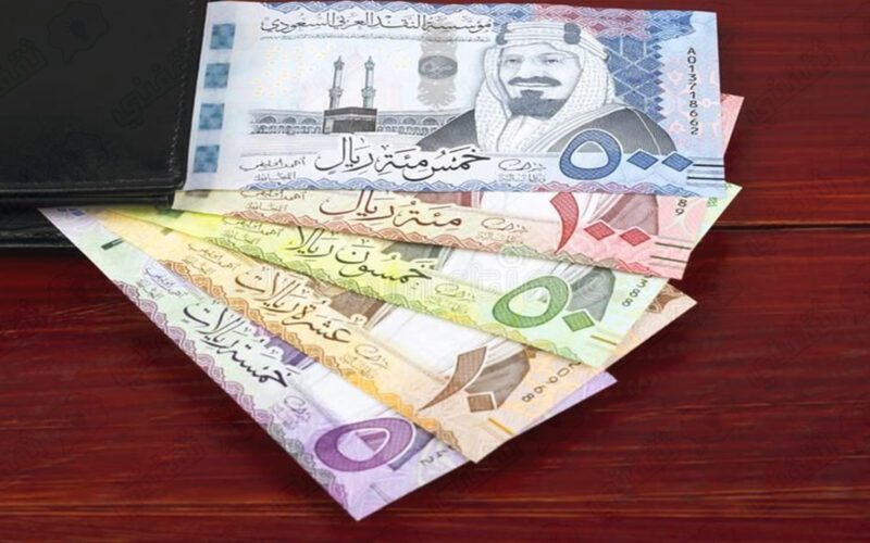 1000ريال سعودي كم يساوي جنيه مصري اليوم الأربعاء 24 أبريل 2024 وفي البنوك المصرية