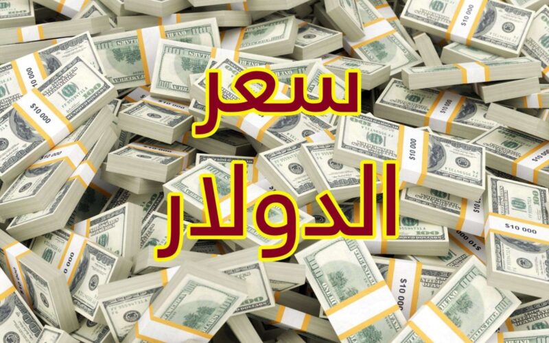 الآن سعر الدولار مقابل الجنيه المصري بنك لايف اليوم الإثنين 29 أبريل 2024 في السوق السوداء والبنوك