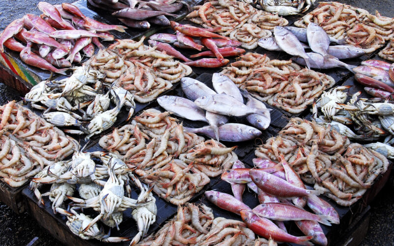 “بعد المقاطعة” أسعار السمك اليوم بسوق العبور الإثنين 29 أبريل 2024 للمستهلك