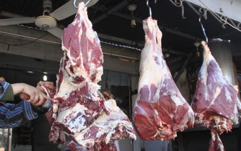 اسعار اللحوم اليوم الاربعاء 24 ابريل 2024 فى جميع منافذ البيع المصريه