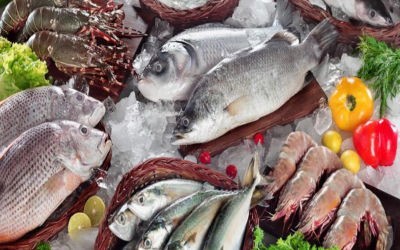 “البوري ب140” اسعار السمك اليوم الخميس 23 مايو 2024 في الأسواق المصرية للمستهلك