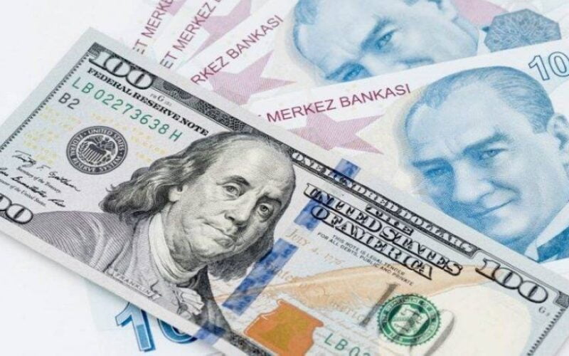 توقعات سعر الليرة التركية والسورية مقابل الدولار اليوم لحظه بلحظه الإثنين 20 مايو 2024